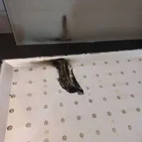 تعمیرات تلویزیون در محل و منزل شما|خدمات پیشه و مهارت|رباط‌کریم, رباط‌کریم|دیوار