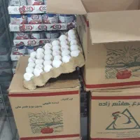 تخم مرغ ۱۲/۵ نگین و هاشم زاده|عمدهفروشی|سوسنگرد, |دیوار