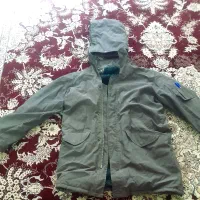 اورکت امریکایی