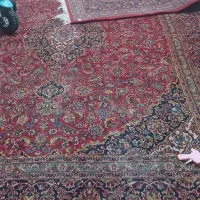 ۲ عددفرش ۱۲متری دستبافت مشهد|فرش|مراغه, |دیوار
