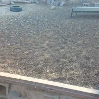 کود گوسفندی درجه یک|لوازم جانبی حیوانات|شهر بابک, |دیوار