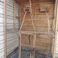 قفس پرنده چوبی مناسب تربیت پرنده