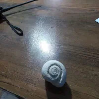 فسیل دو عدد|کلکسیون اشیاء عتیقه|کارون, |دیوار