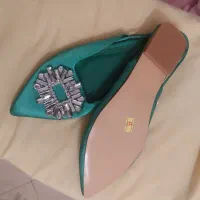 یک جفت کفش مهمونی