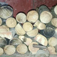 هیزم آتش و دور همی