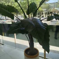 منشی خانم جهت کار در رستوران شقایق