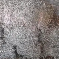 فروش  یونجه درجه یک