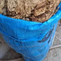 برگ خشک|خوردنی و آشامیدنی|کاکی, |دیوار