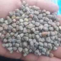 هلر|خوردنی و آشامیدنی|رودشت (چهارمحال و بختیاری), |دیوار