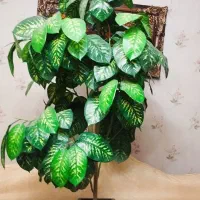 درخت مصنوعی انار و  درخت بنجامین|گل مصنوعی|تبریز, |دیوار