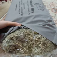 وسایل جونده