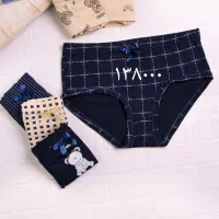 لباس زیر|لباس|سنگدوین, |دیوار