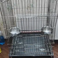 قفس کاسکو