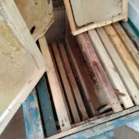 پوکه زنبور عسل سفید پوکه عسل طبیعی هست