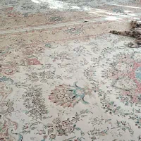 دو عدد فرش ۱۲ متری تولید سال ۱۳۵۰ فروشی|فرش|تربت جام, میان جام|دیوار
