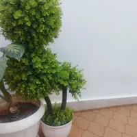 گل مصنوعی|گل مصنوعی|یاسوج, |دیوار