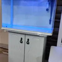 اکواریوم شرکتی