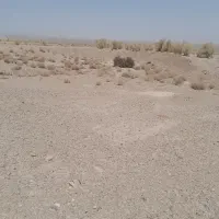 فروش ۳ هکتار زمین کشاورزی