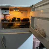 یخچال فریزرالکترو استیل سالم در حال استفاده