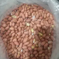 بادام زمینی درجه ۱ استانه اشرفیه