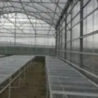 گلخانه اسپانیایی