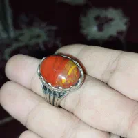 انگشتر شجر زیبا