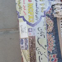 فرش ۶متری|فرش|سنندج, |دیوار