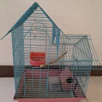 قفس فنچ و مرغ عشق