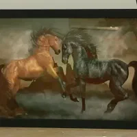 چراغ خواب|چراغ خواب و آباژور|تهران, دانشگاه شریف|دیوار