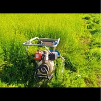 خدمات علف زنی و یونجه زنی