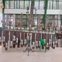 علامت فروشی|کلکسیون اشیاء عتیقه|تاکستان, |دیوار