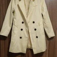 پالتو کتی استردار