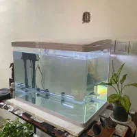 آکواریوم K580 New دلسا