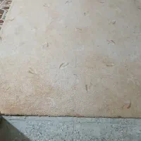 پالاز|فرش|دهدشت, |دیوار