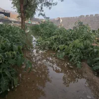 خانه-باغ-نیمه-ساز-800متری-در-نیر-زیبای-من