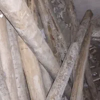 ۲۰ عدد چوب ۳ متری برای فروش