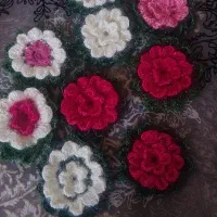 ست لیف واسکاج