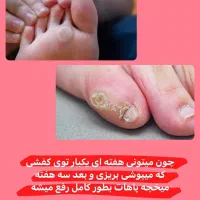 پودر عرق گیر ومخچه