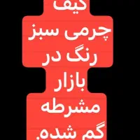 کیف سبز چرمی حاوی مدارک گم شده