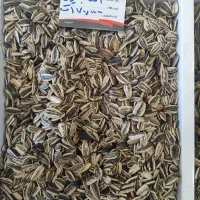 حراج گردو اجیل پسته کدو و ....|عمده‌فروشی|جهرم, |دیوار