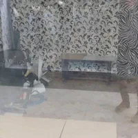 فروش مغازه ۱۲ متری در نارمک|فروش مغازه و غرفه|تهران, نارمک|دیوار