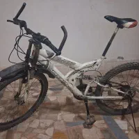 دوچرخه حرفه ای