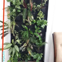 دیوار سبز گرین وال  هوشمند|خدمات پیشه و مهارت|تهران, شهرک کوهسار|دیوار