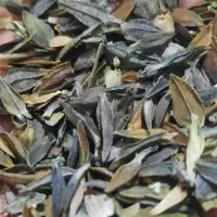 بذر گل آهار بشرط