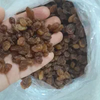 کشمش اعلا|خوردنی و آشامیدنی|اهواز, گلستان|دیوار