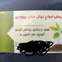 انواع نهال‌های میوه دار