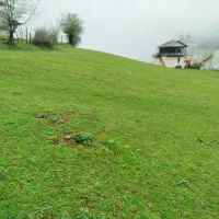 250متر-مسکونی-ییلاق-روشنده-انل