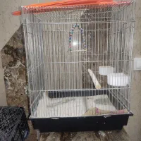 قفس پرنده