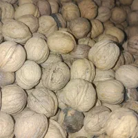 گردو عمده|خوردنی و آشامیدنی|تهران, ترمینال غرب|دیوار