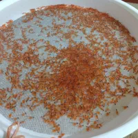 ماهی قزل الا